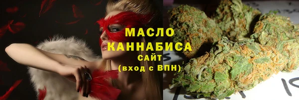 мет Алексин