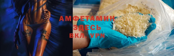 мет Алексин