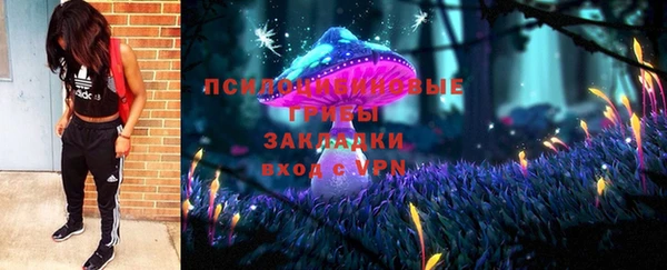 СК Алзамай