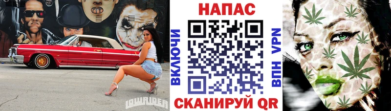 мориарти какой сайт  Вилючинск  МАРИХУАНА семена 